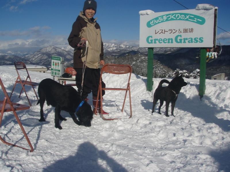 Green Grass Hakuba Exterior photo